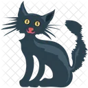 Katze Bose Katze Schwarze Katze Icon