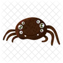 Spinne Icon