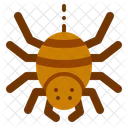 Böse Spinne  Icon