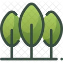 Naturaleza Bosque Arbol Icon