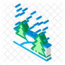 Bosque Noche Grafico Icono