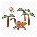 .Bosque tropical  Icono