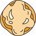 Boston Donut Boston Donut Icon