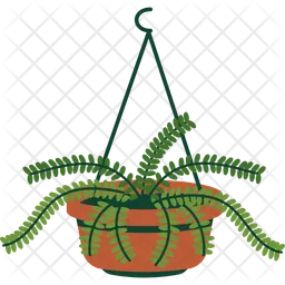 Boston Fern  Icon
