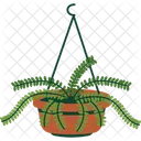 Boston Fern  Icon