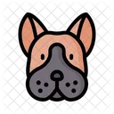 Boston terrier  Icon