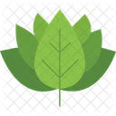 Botani Sign  Icon