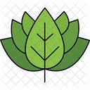 Botani Sign  Icon