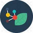 Botanica Bioquimica Quimica Biologica Icono