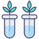 Botanica Naturaleza Planta Icono