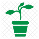 Botanical  Icon