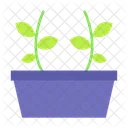 식물의  아이콘