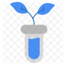 Botanical Flask  Icon