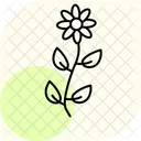 Botanical flow  Icon