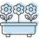 Botanical garden  Icon