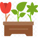 Nature Green Garden Icon