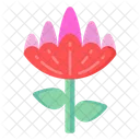 Botanical Lily  Icon