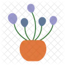 Cacti Plant Cactus Pot Icon