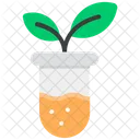 Botanical Research  Icon