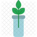 Botanik-Experiment  Symbol