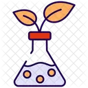Botanik Natur Pflanze Symbol