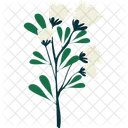 Blume Botanisch Zweig Symbol