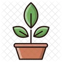 Botany Science Plant Icon