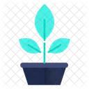 Botany Plant Pot Icon