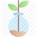 Botany Nature Tree Icon