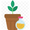 Botany Seed Plant Icon
