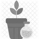 Botany Seed Plant Icon