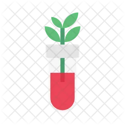 Botany Experiment  Icon