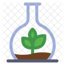 Botany Experiment  Icon