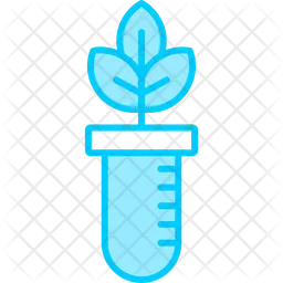 Botany Experiment  Icon