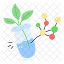 Botany Experiment  Icon