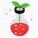 Botany Experiment Experiment Lab Icon