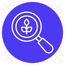 Botany Experiment  Icon