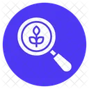 Botany Experiment  Icon