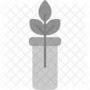 Botany Experiment  Icon