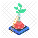 Botany Experiment  Icon