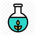 Botany Flask Medical Flask Medical Icon