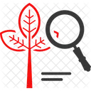 Botany  Icon
