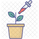 Botany Practicals Botany Study Leaf Experiment Icon