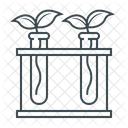 Botany Plant Nature Icon
