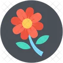 Botao De Rosa Rosa Flor Icon