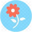 Botao De Rosa Rosa Flor Icon