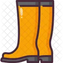 Botas Moda Calzado Icono