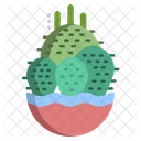 Cactus botón  Icono