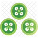 Botones Circulo Funcion Icon
