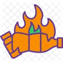 Burn Fire Flame Icon